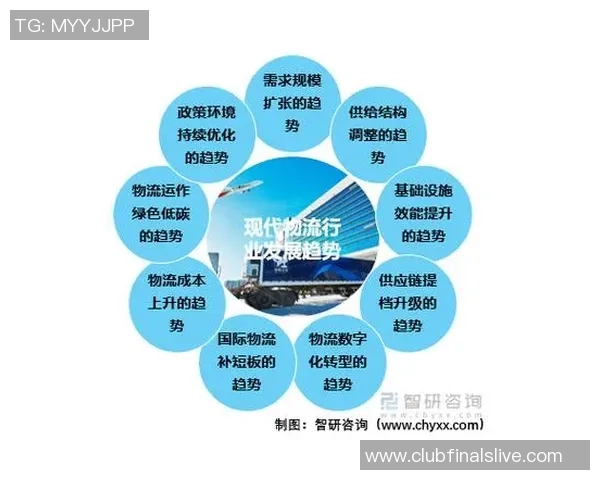 北京足球队战术解析与未来发展方向的深度探讨